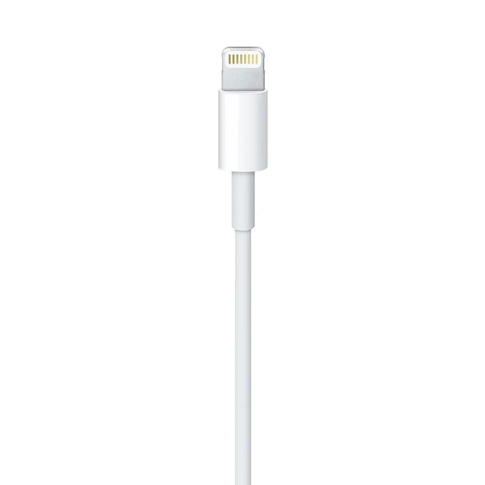 USB-C to Lightning Cable (3.3ft)