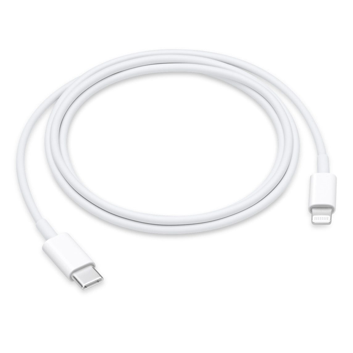 USB-C to Lightning Cable (3.3ft)